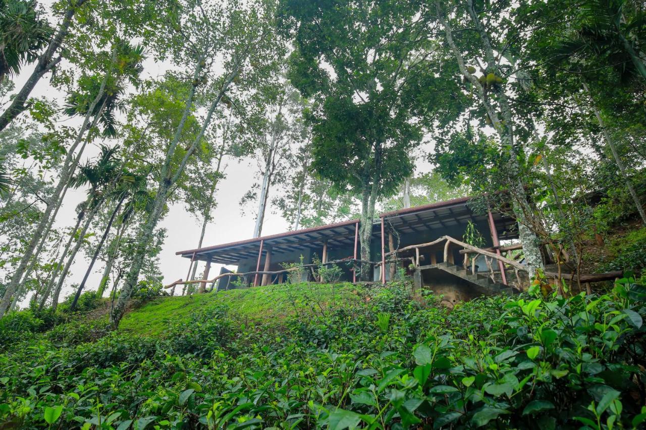 The Spice Lodge Ella Exteriér fotografie